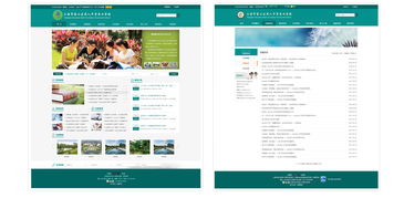 奈福网络 为上海院校打造高端网站设计与建设方案